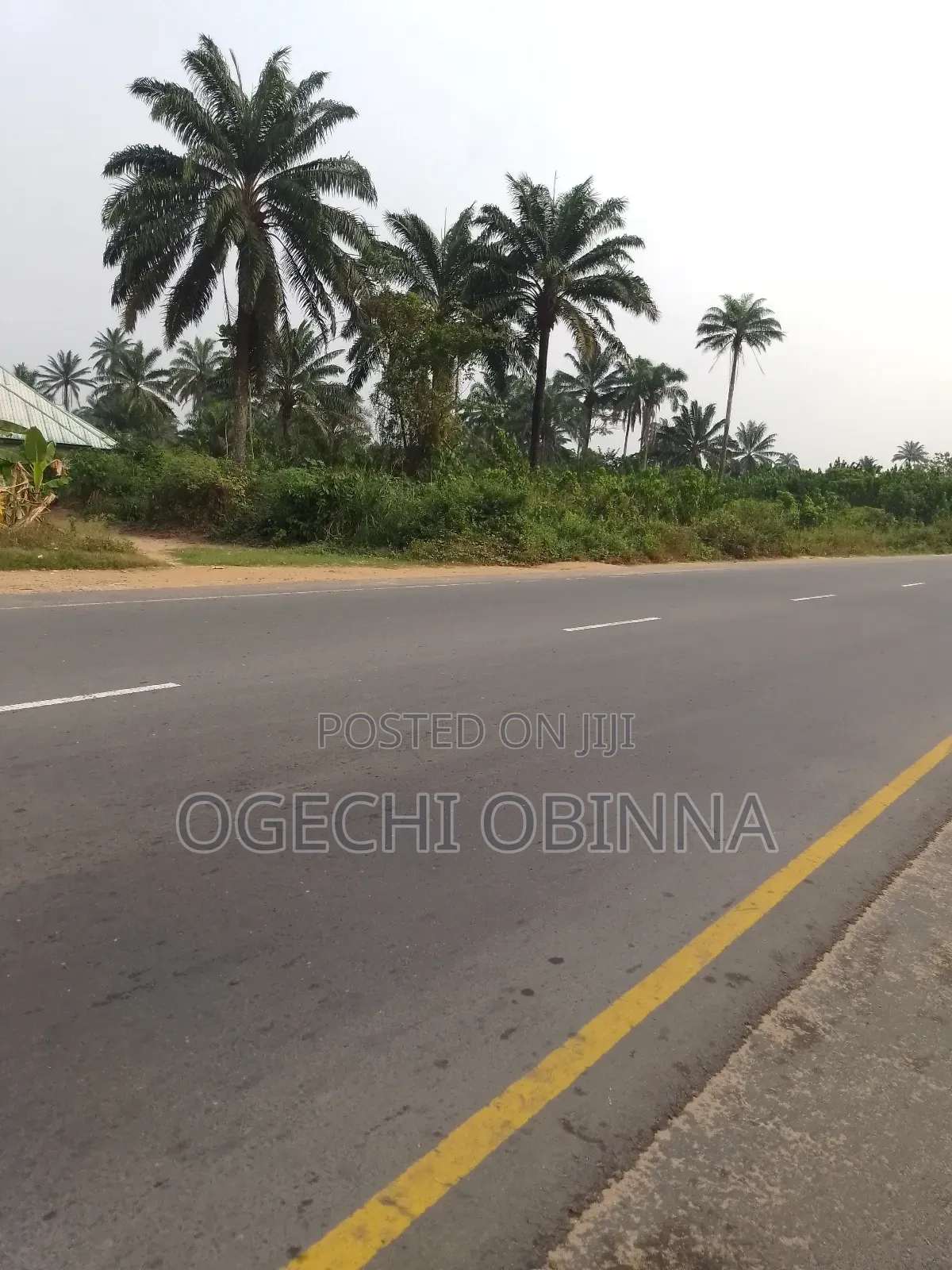 Distress 5 Plots of Land on the Major Tarred Road for Sale in Port-Harcourt