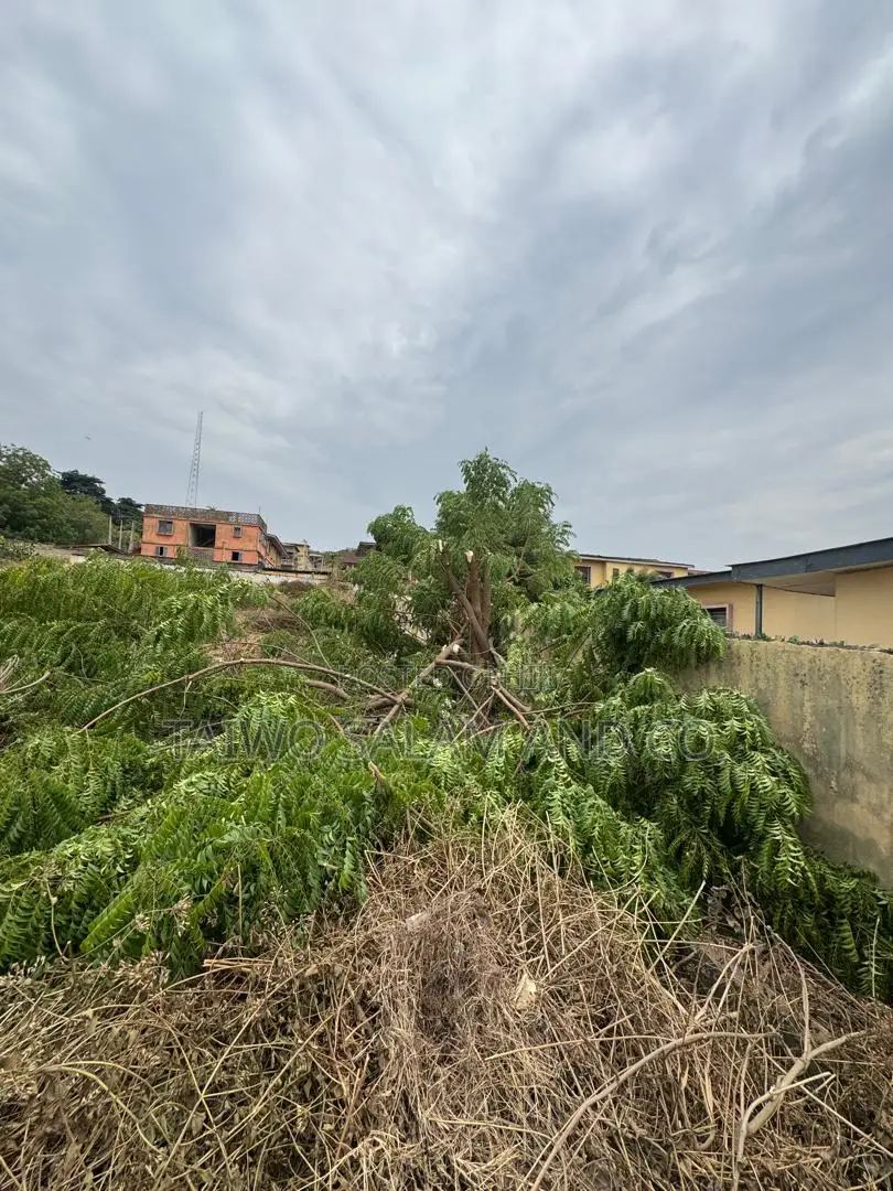 1,300 SQM Commercial Land in Samonda