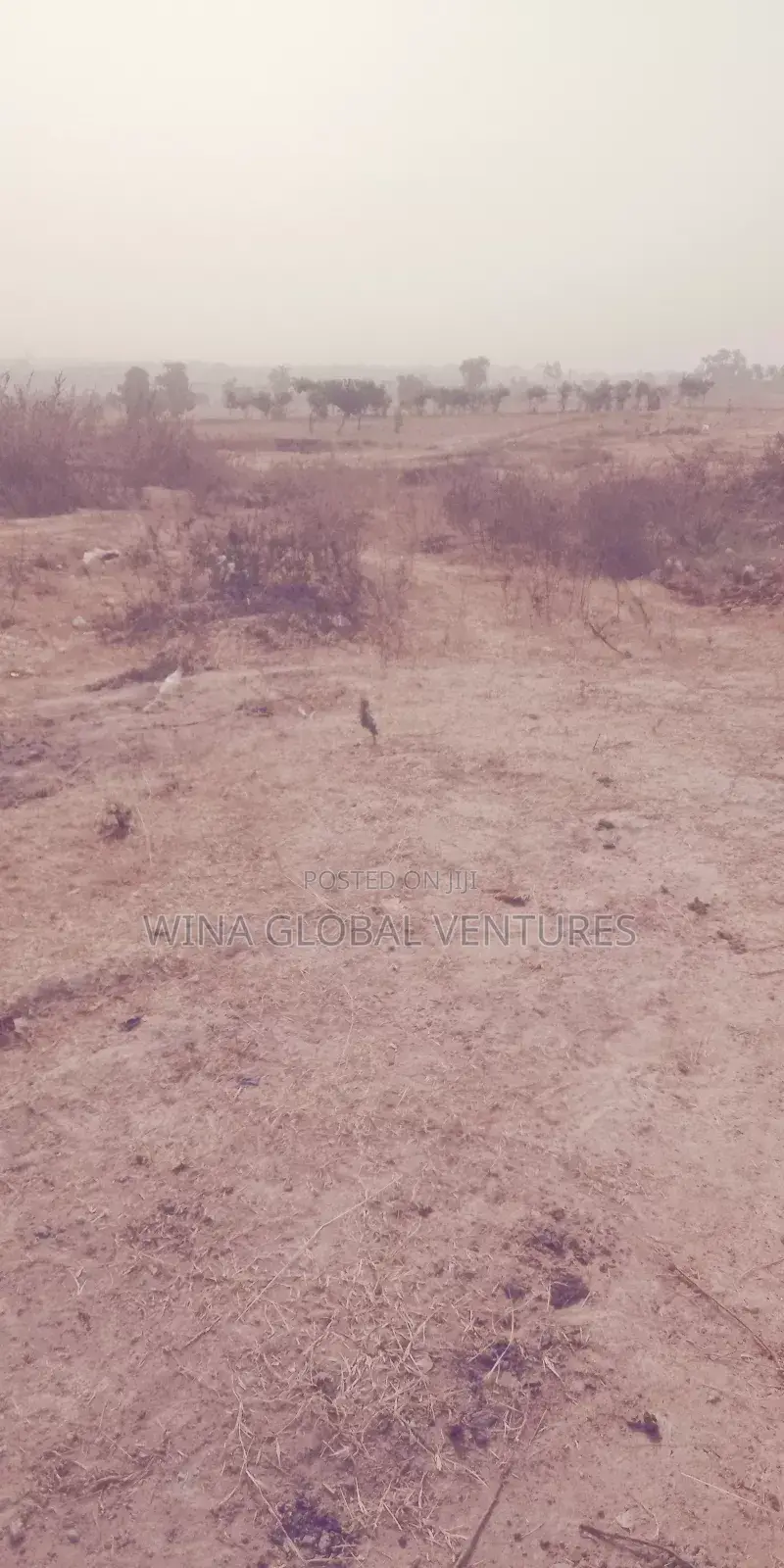 Approximately One Hectare of Land for Sale in Zuba