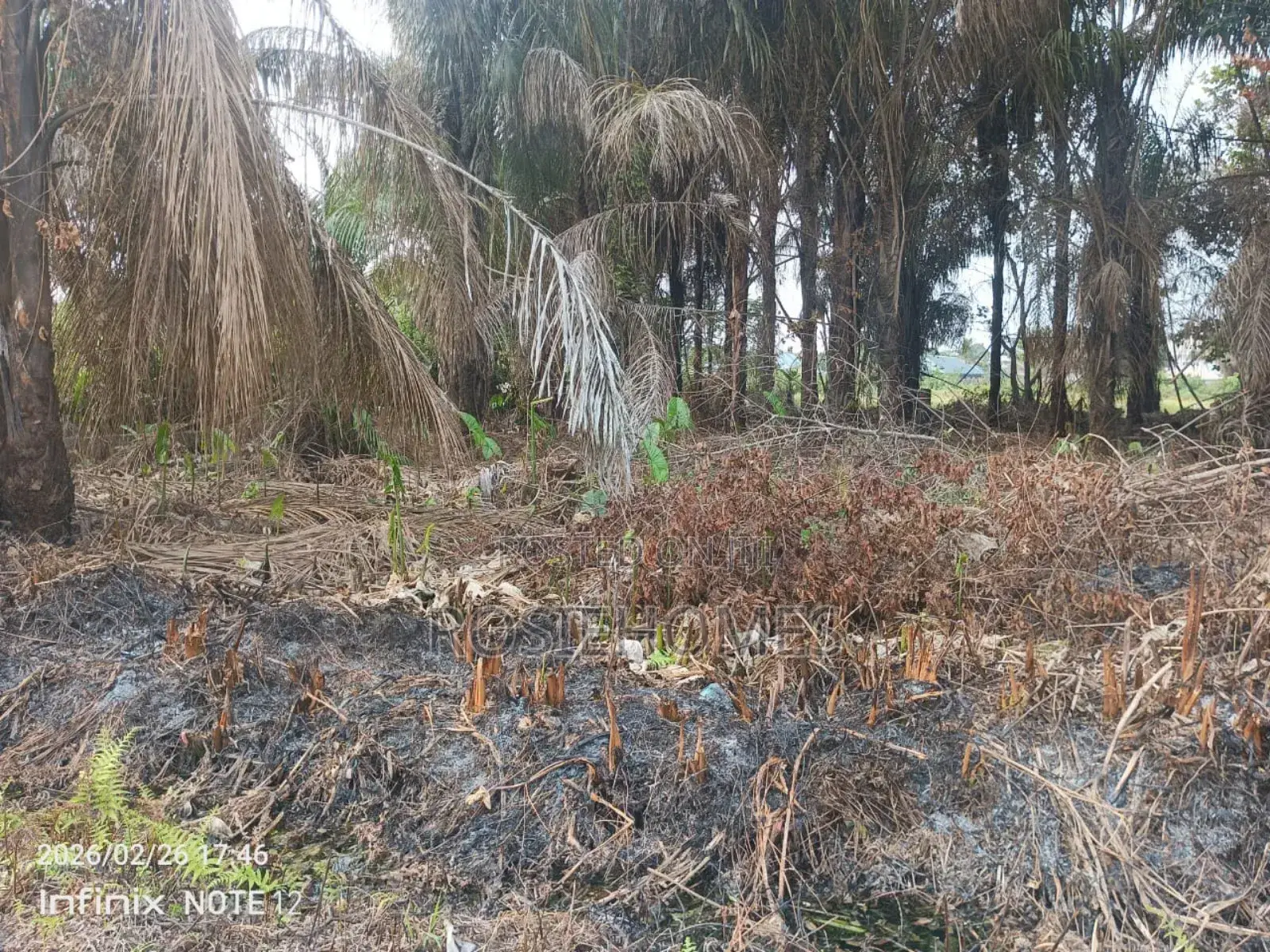Genuine Dry Land in Alatishe in Ibeju-Agbe