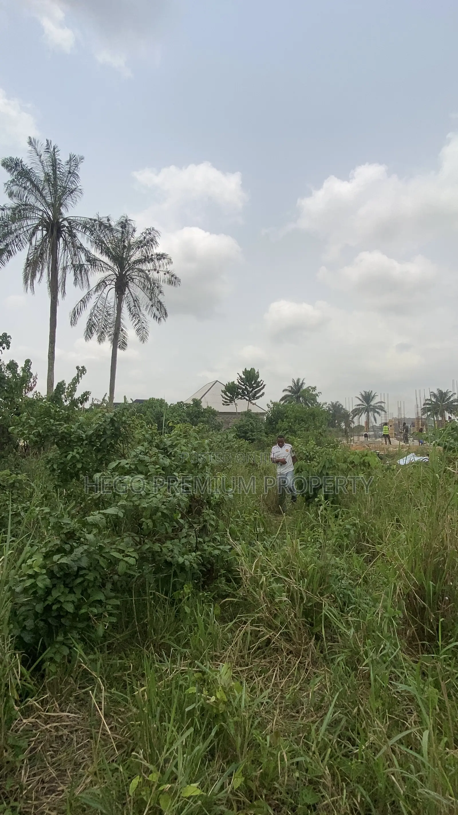 Distress Land for Sale in Ikwerre