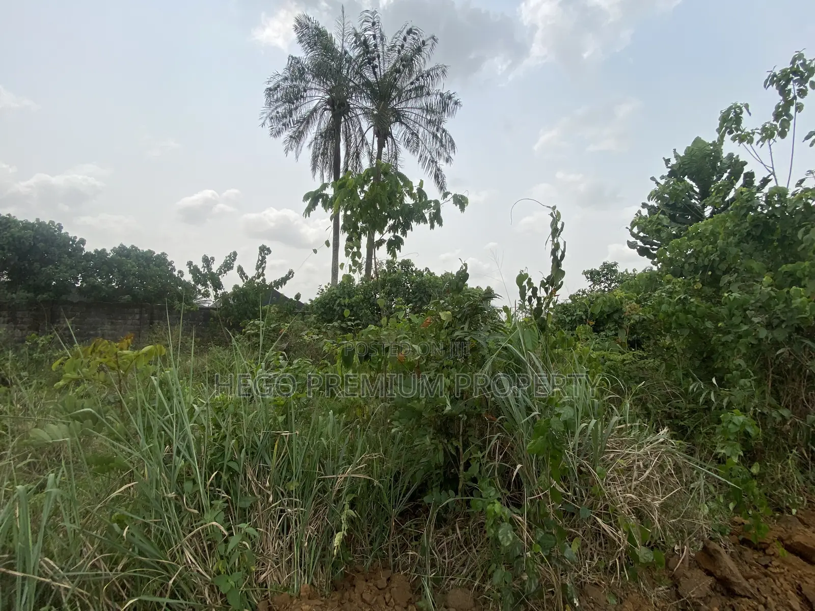 Distress Land for Sale in Ikwerre