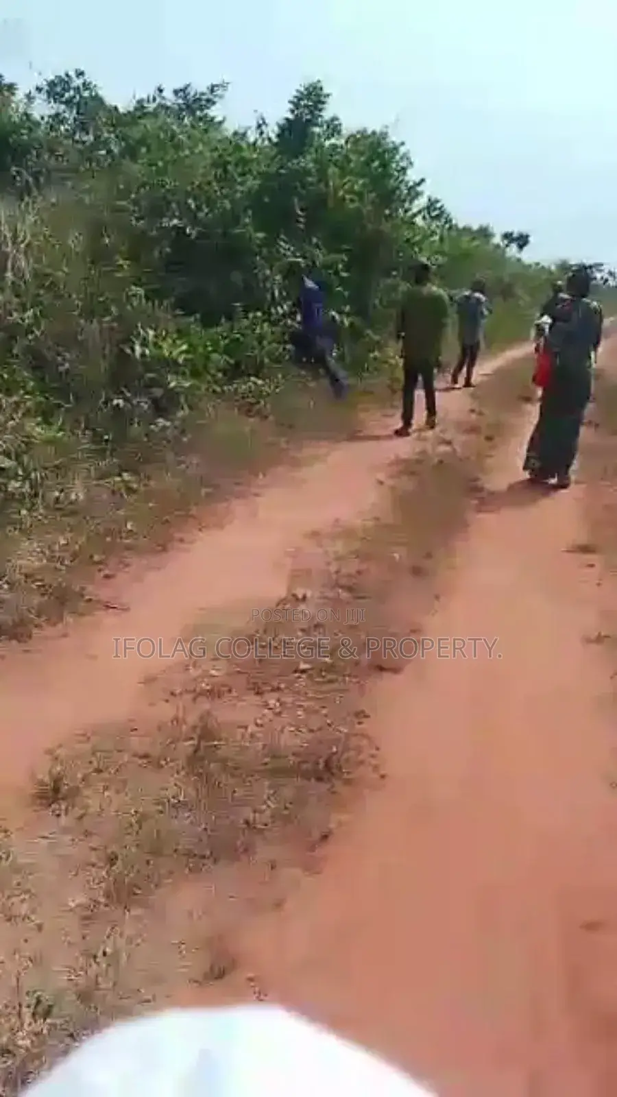 Land For Sale – Wasimi, Ogun State in Ewekoro