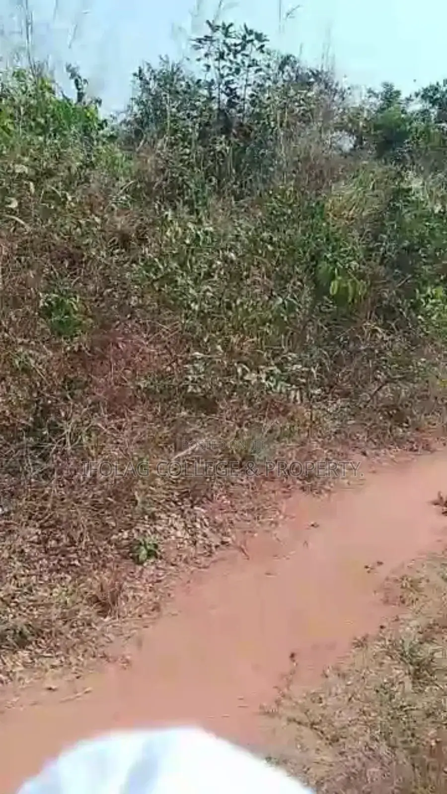 Land For Sale – Wasimi, Ogun State in Ewekoro