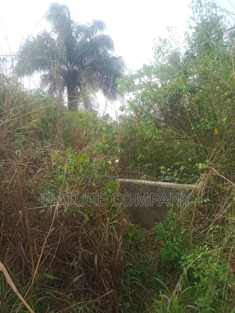 Survey Deed of Assignment Family Receipt in Obafemi-Owode