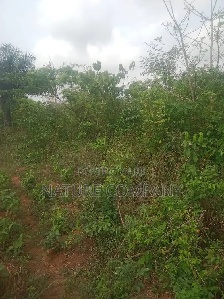 Survey Deed of Assignment Family Receipt in Obafemi-Owode