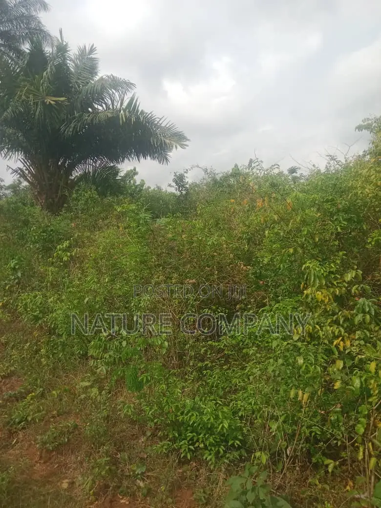 Survey Deed of Assignment Family Receipt in Obafemi-Owode