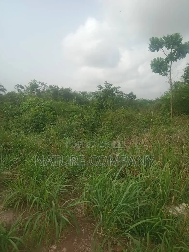 Survey Deed of Assignment Family Receipt in Obafemi-Owode