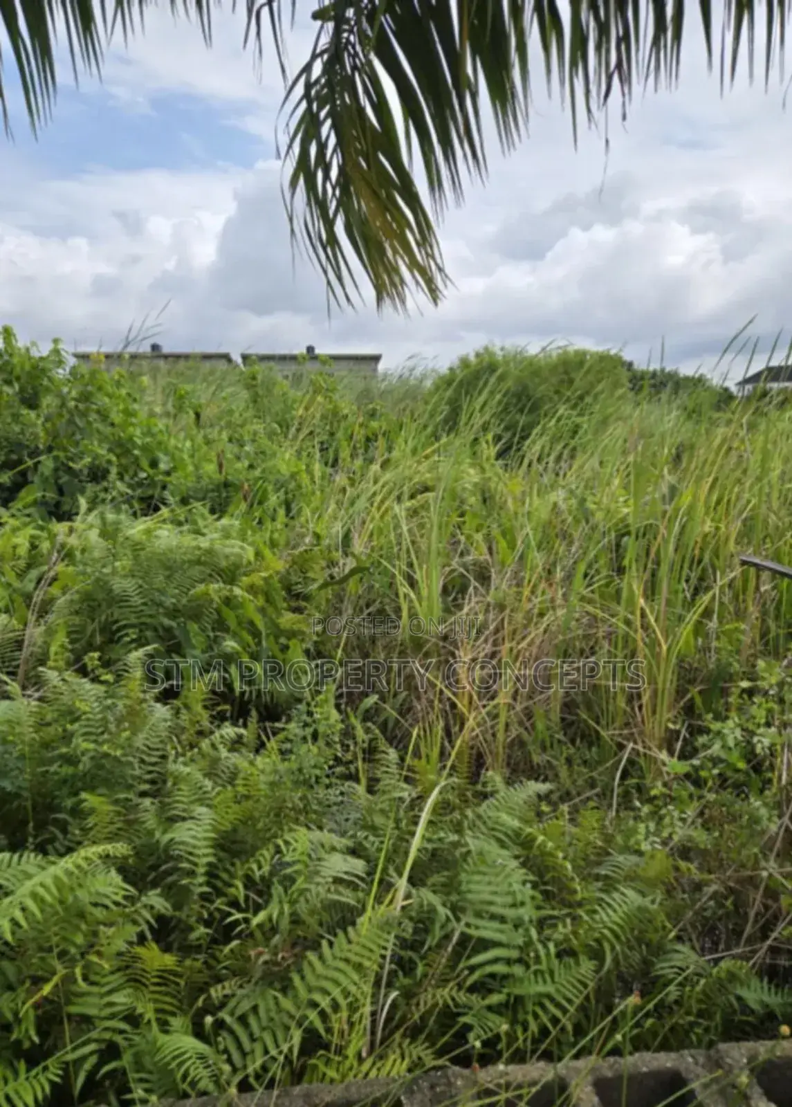 Half Plot of Land for Sale at Taodak Estate Ifako Gbagada Lagos in Ifako-Gbagada