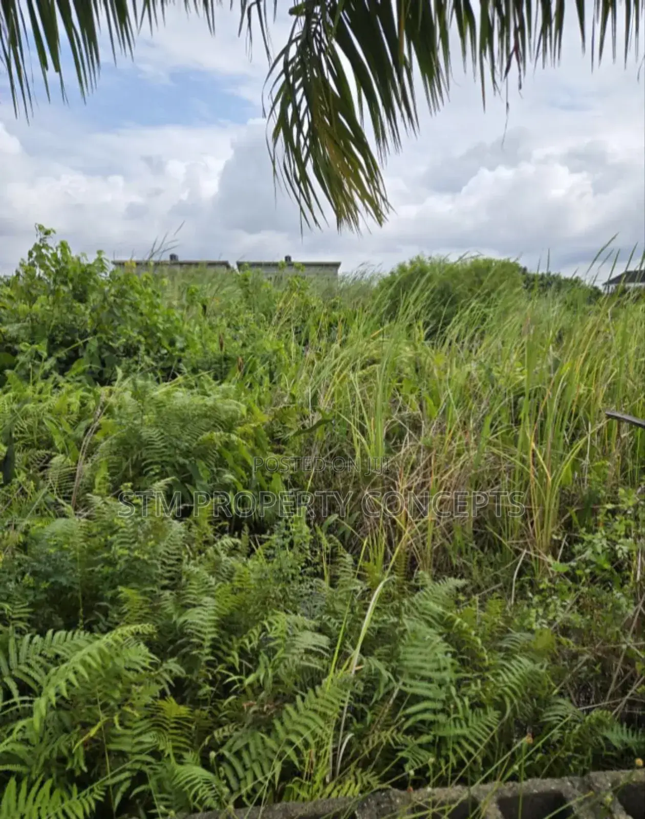 Half Plot of Land for Sale at Taodak Estate Ifako Gbagada Lagos in Ifako-Gbagada