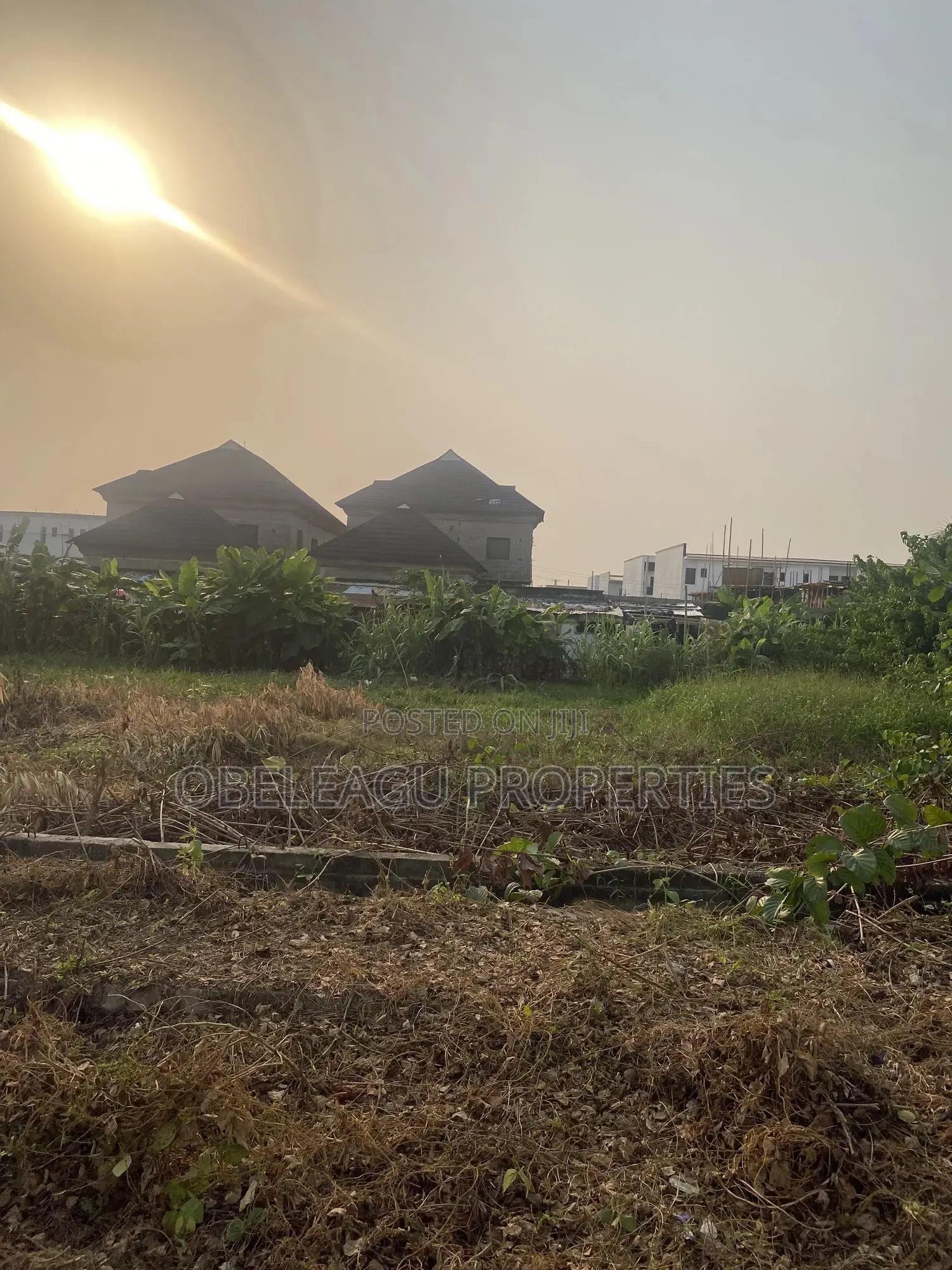 Certificate of Occupancy in Abraham Adesanya Estate