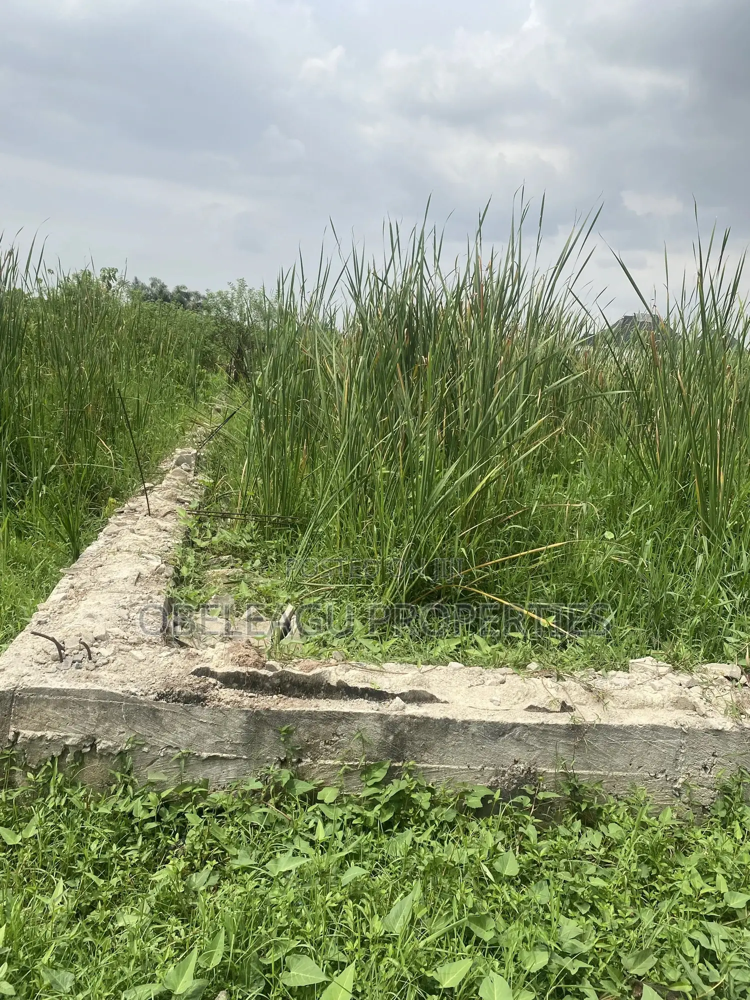 Federal Housing Authority in Festac