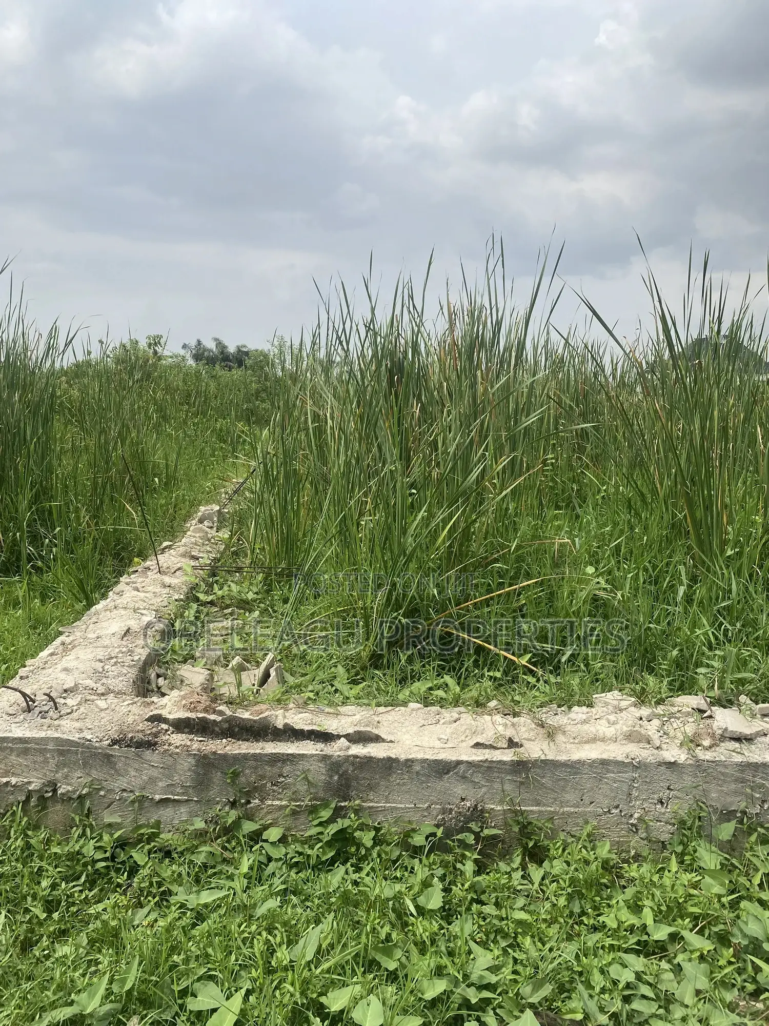 Federal Housing Authority in Festac