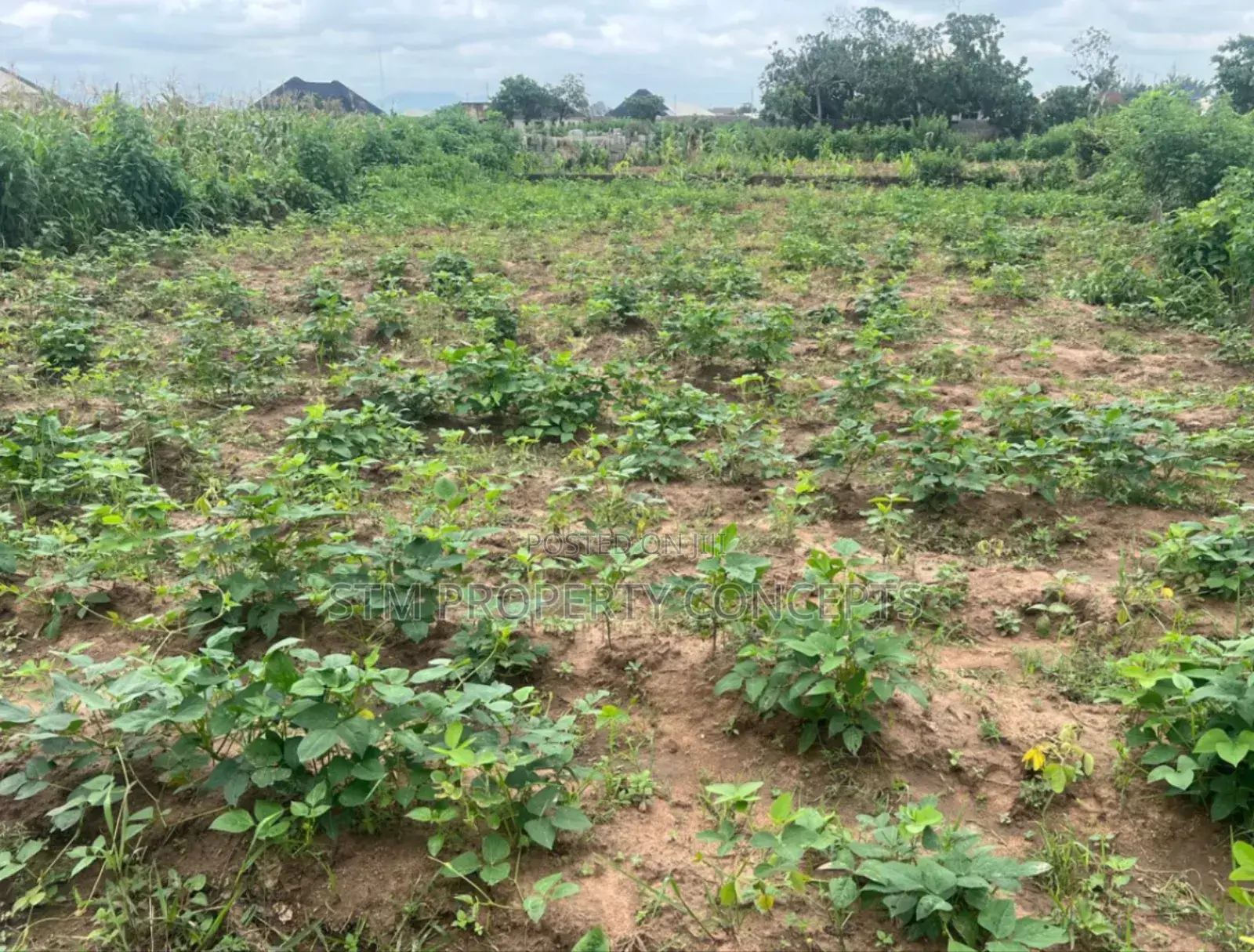 Land For Sale Inside An Estate At Unguwan Gwarzo, Lahadin Makole, Kano in Gwarzo