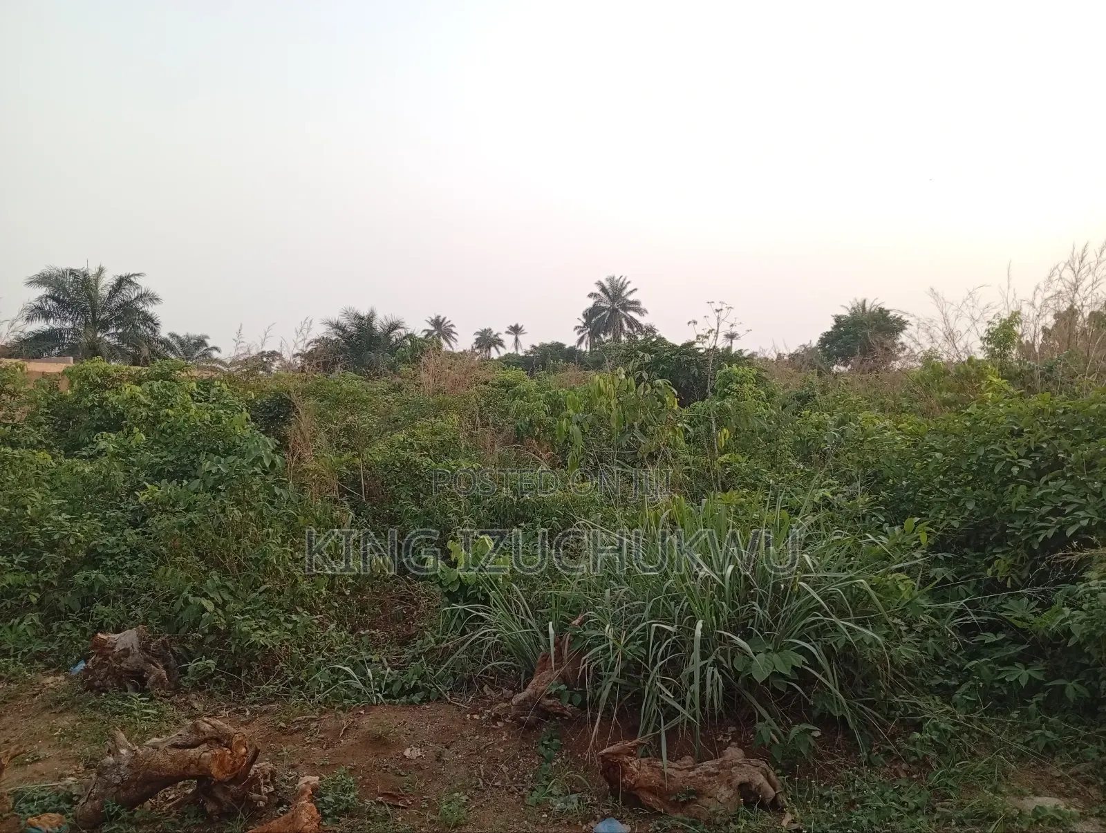 Lands For Sale in Owerri