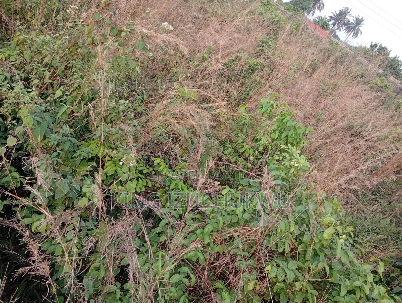 Lands For Sale in Owerri