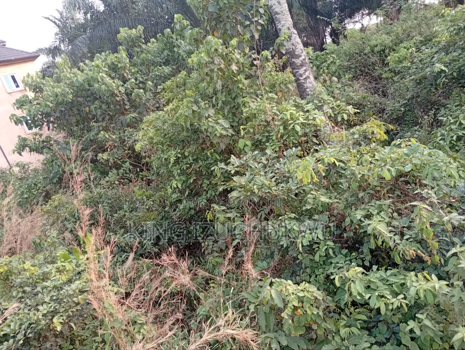 Lands For Sale in Owerri
