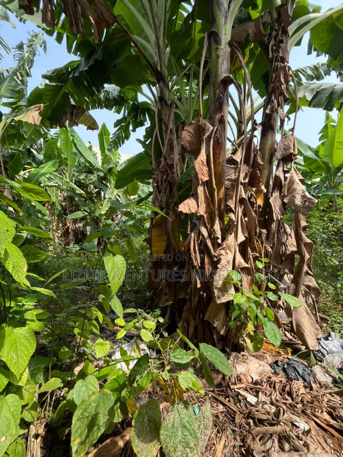 Full Plot of Land for Sale in Igando / Ikotun/Igando