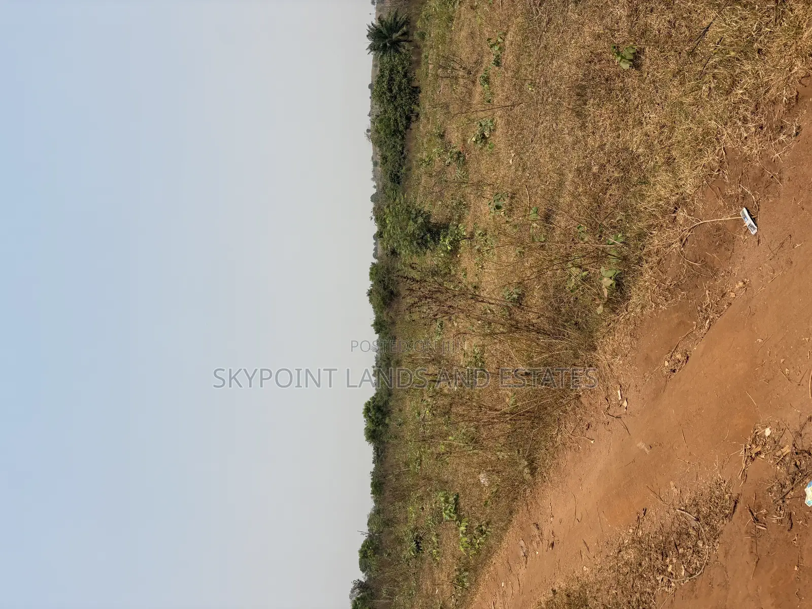 16 Acres Available at Sirafu, Off Iseyin/Ibadan Express Road Iseyin in Iseyin