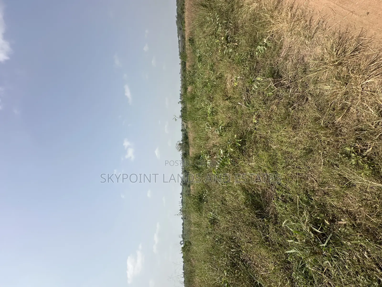 16 Acres Available at Sirafu, Off Iseyin/Ibadan Express Road Iseyin in Iseyin