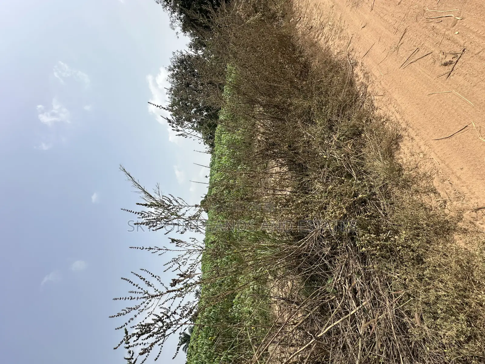 16 Acres Available at Sirafu, Off Iseyin/Ibadan Express Road Iseyin in Iseyin