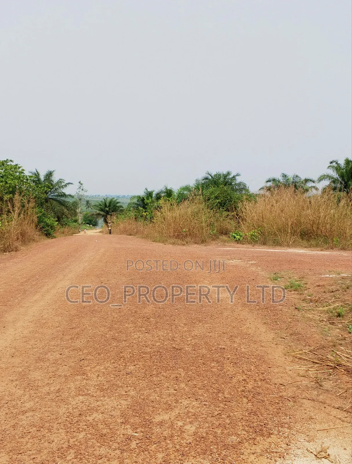 Farm Land Available Epe in Epe Road