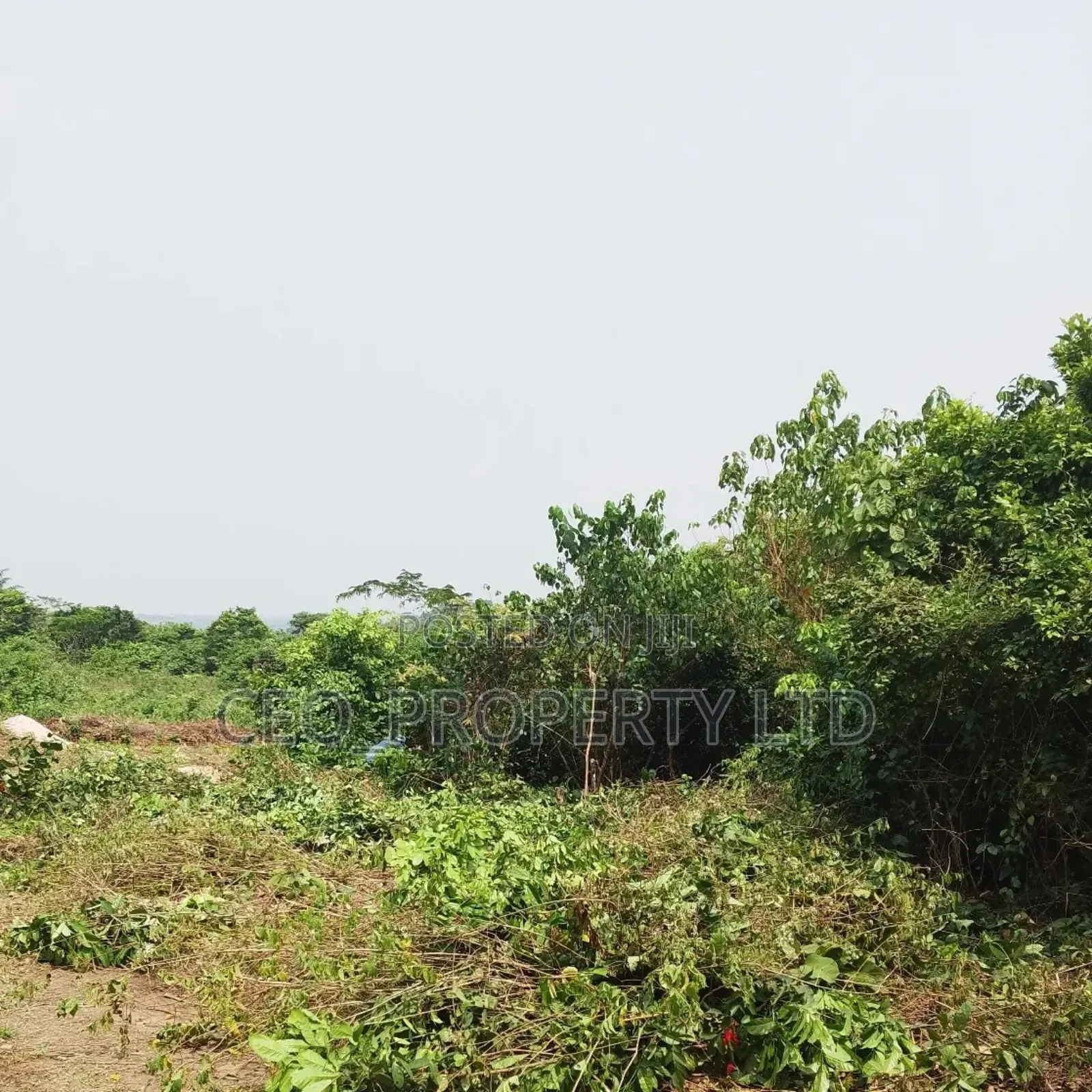Farm Land Available Epe in Epe Road