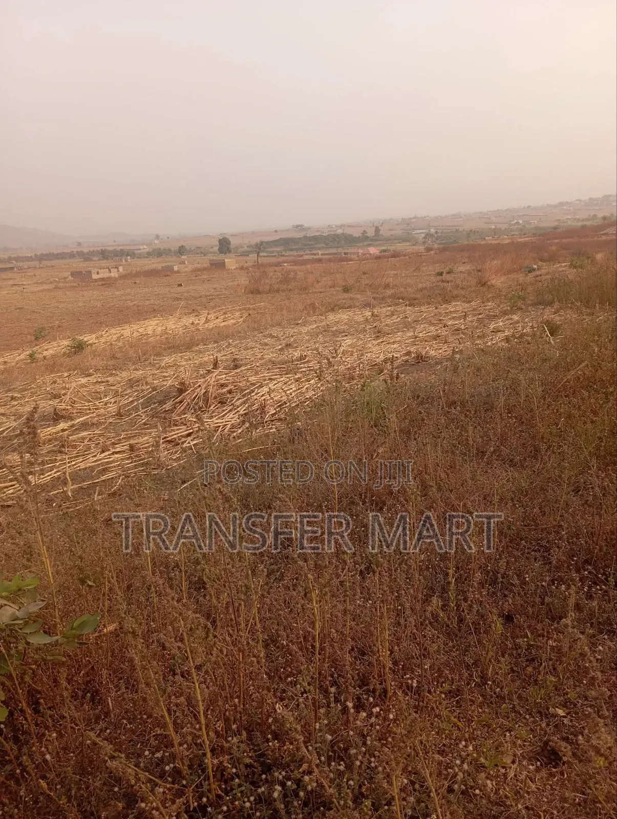 Karshi Apo Express Road One Hectare Is Available in Karshi