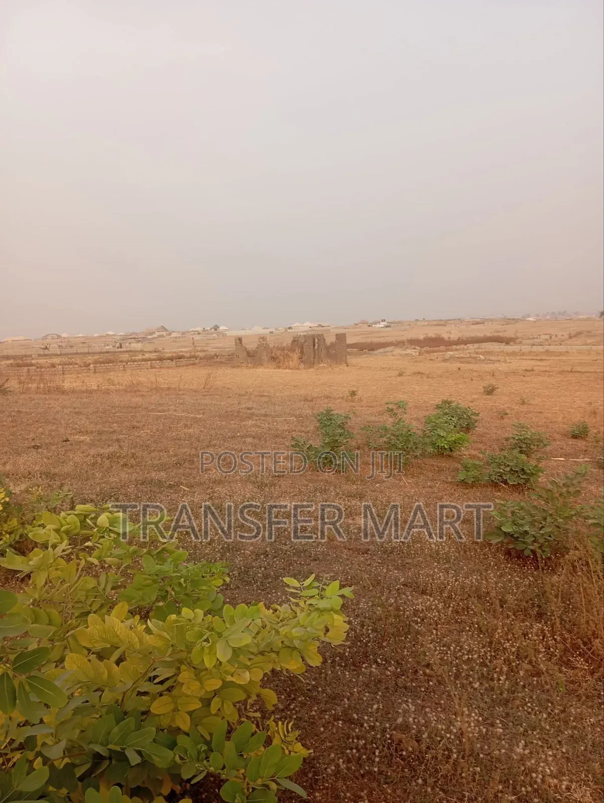 Karshi Apo Express Road One Hectare Is Available in Karshi