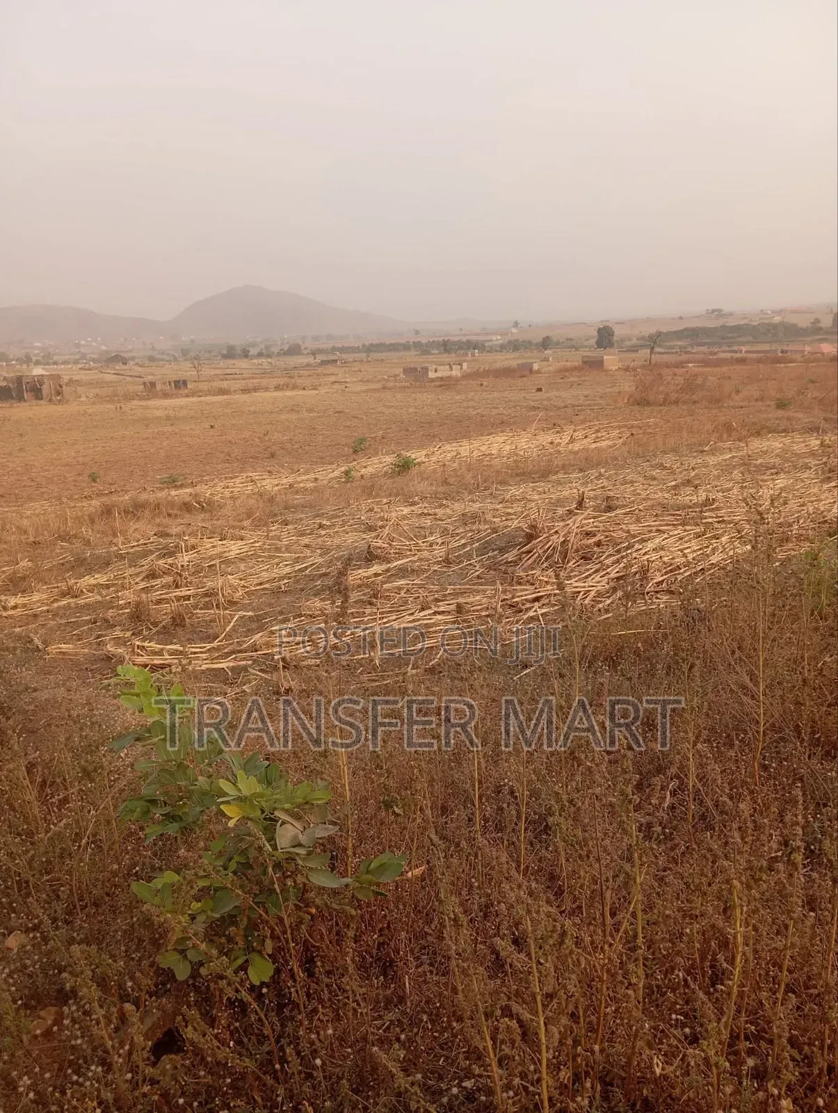 Karshi Apo Express Road One Hectare Is Available in Karshi