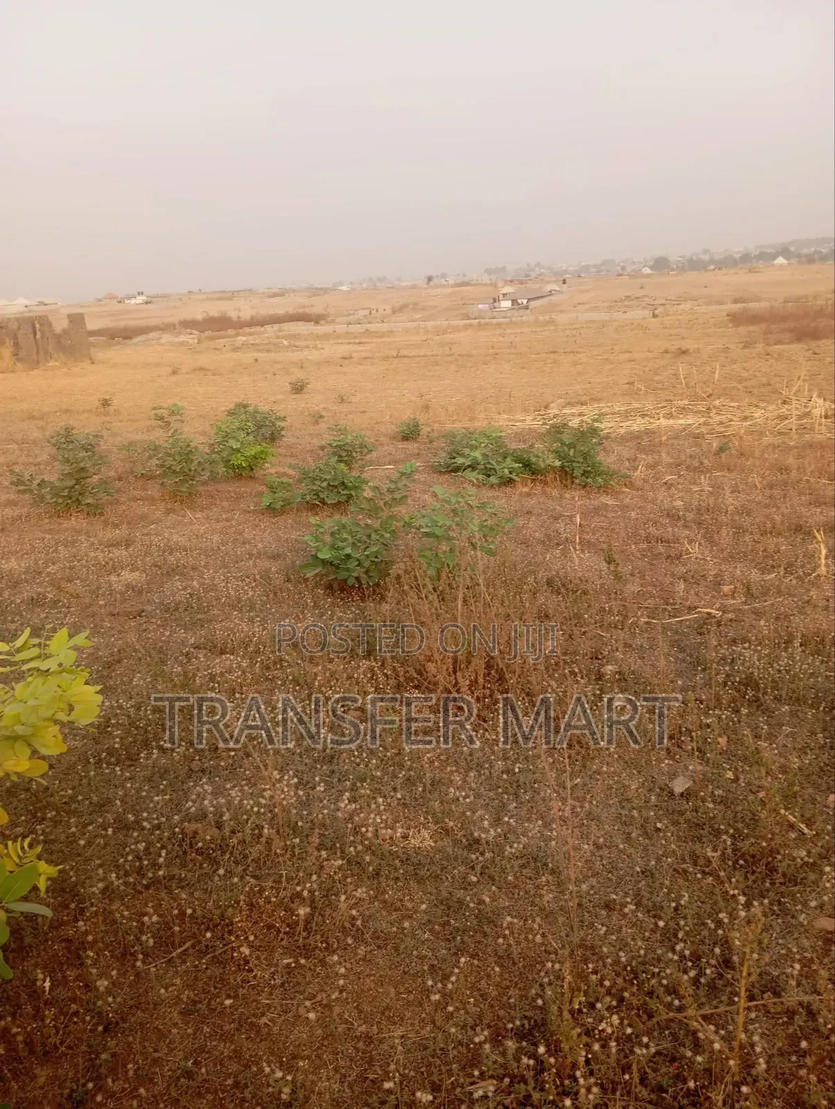 Karshi Apo Express Road One Hectare Is Available in Karshi
