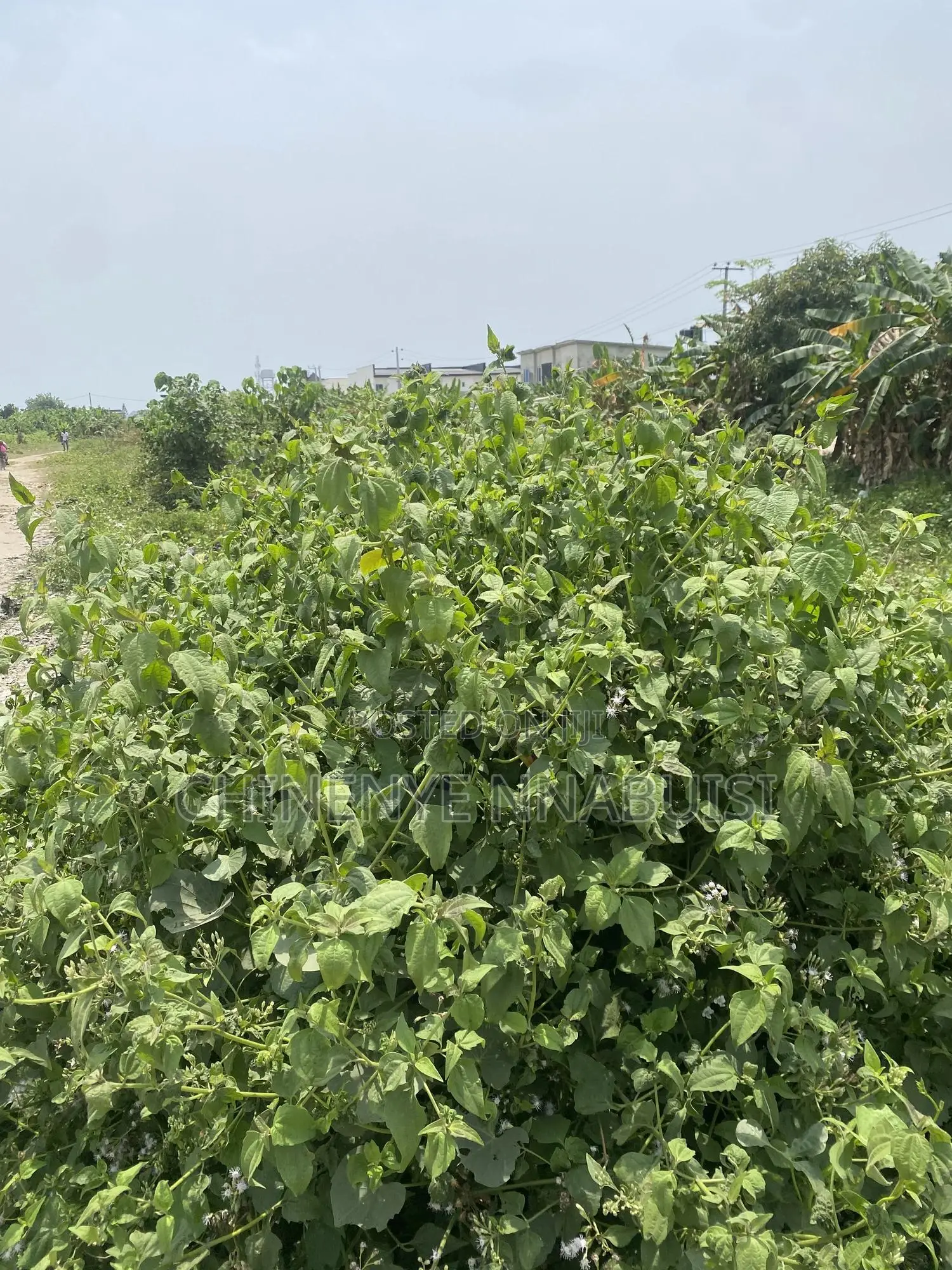 Plots of Land for Sale in Eleko