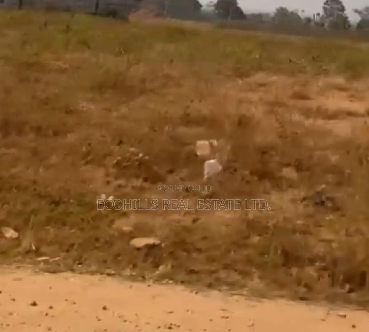 1700sqm Land for Sale in Guzape District