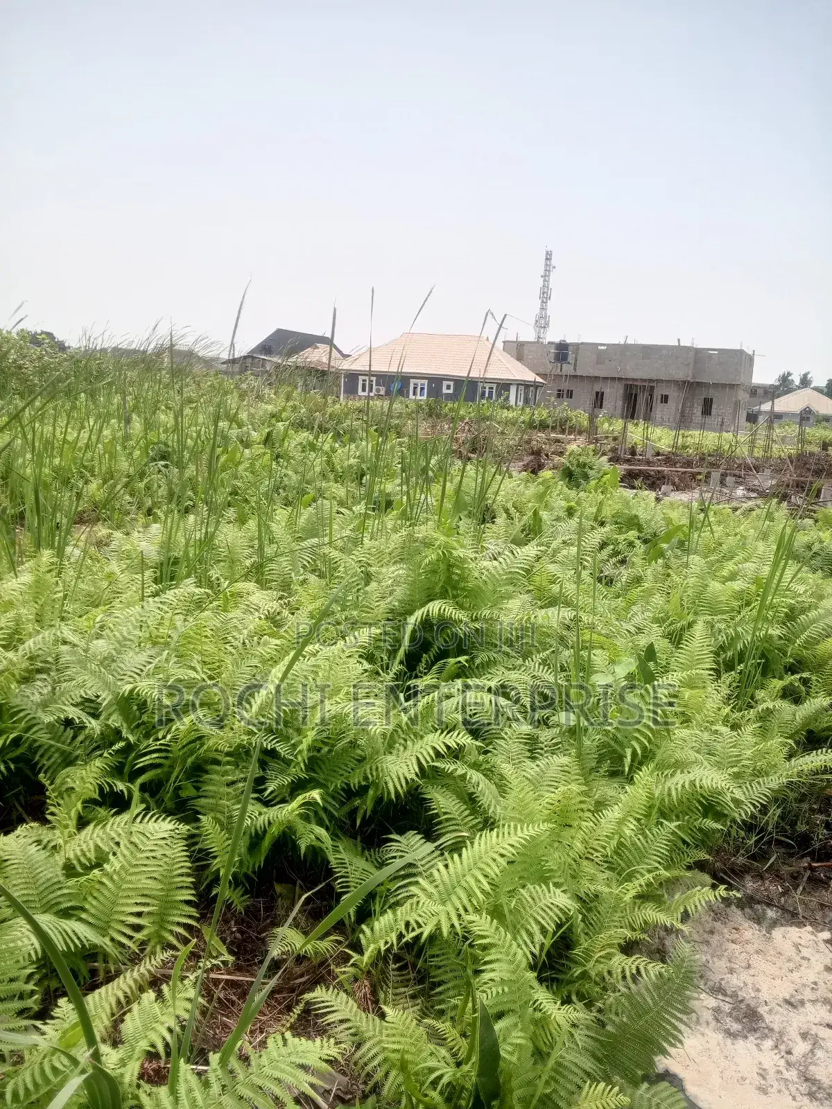 One Plot of Land at Ijegun Ijagemo in Ikotun/Igando