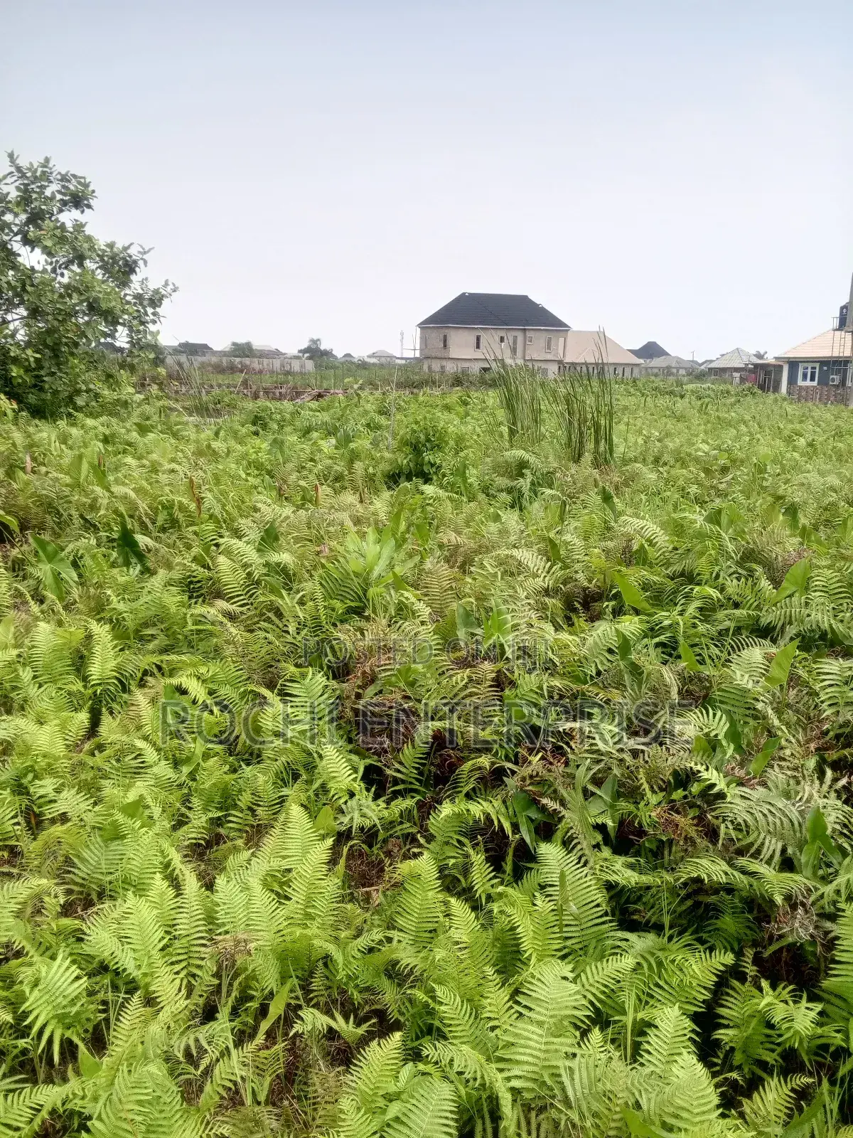 One Plot of Land at Ijegun Ijagemo in Ikotun/Igando