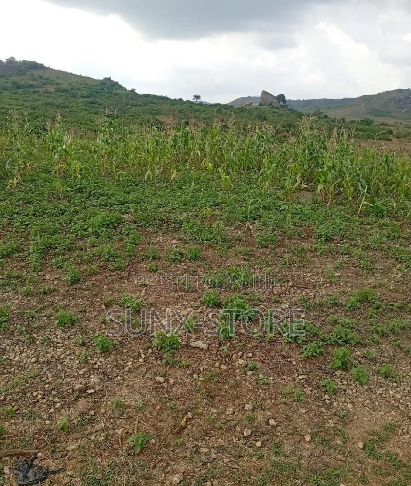 Prime 2.0 Hectares Land for Sale — Abuja in Mpape