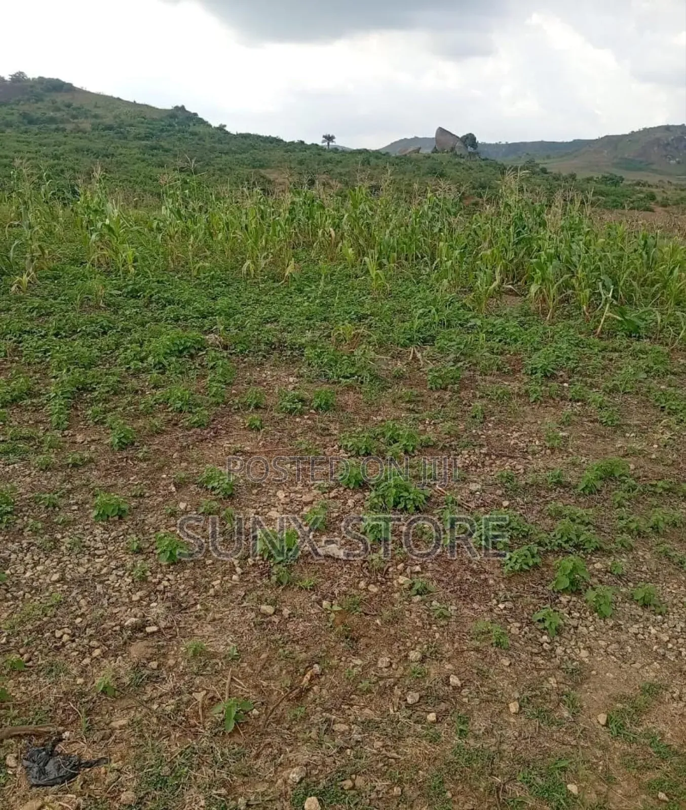 Prime 2.0 Hectares Land for Sale — Abuja in Mpape