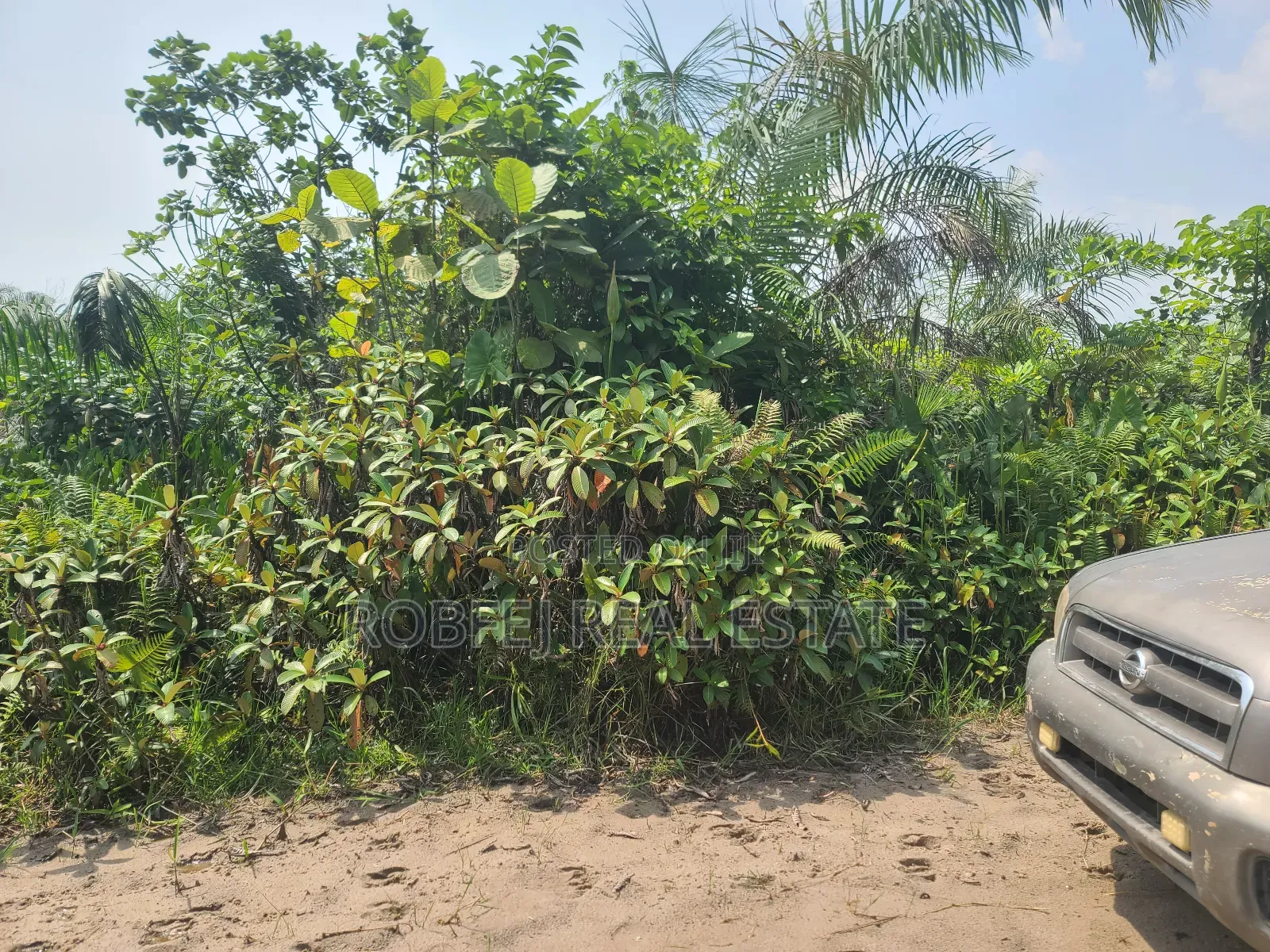 Ibeju Lekki Hidden Gem in Bogije