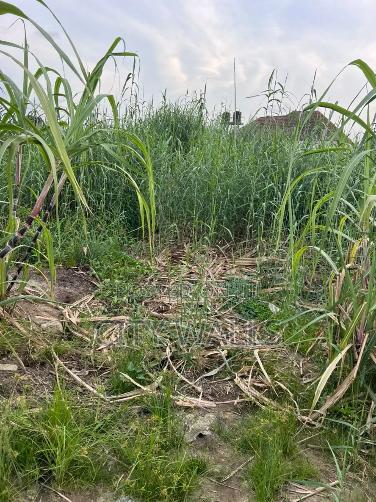 Land for Sale at Ado in Ado / Ajah