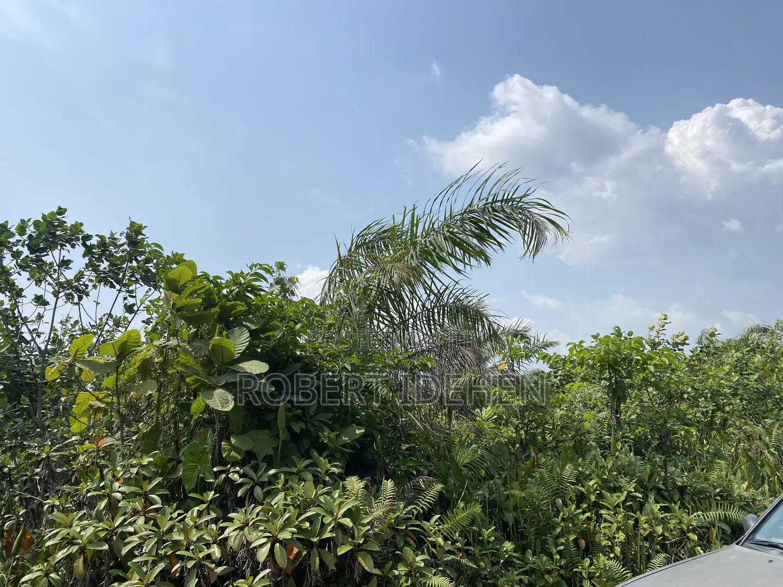 Hidden Gem in Igando-Oloja
