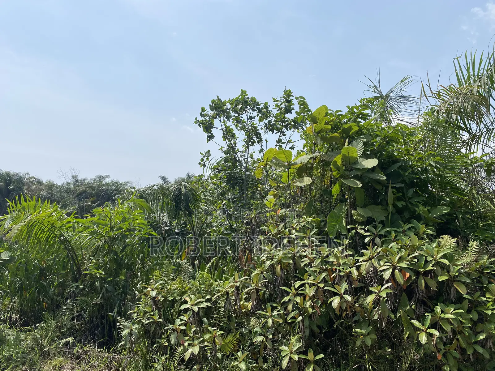 Hidden Gem in Igando-Oloja