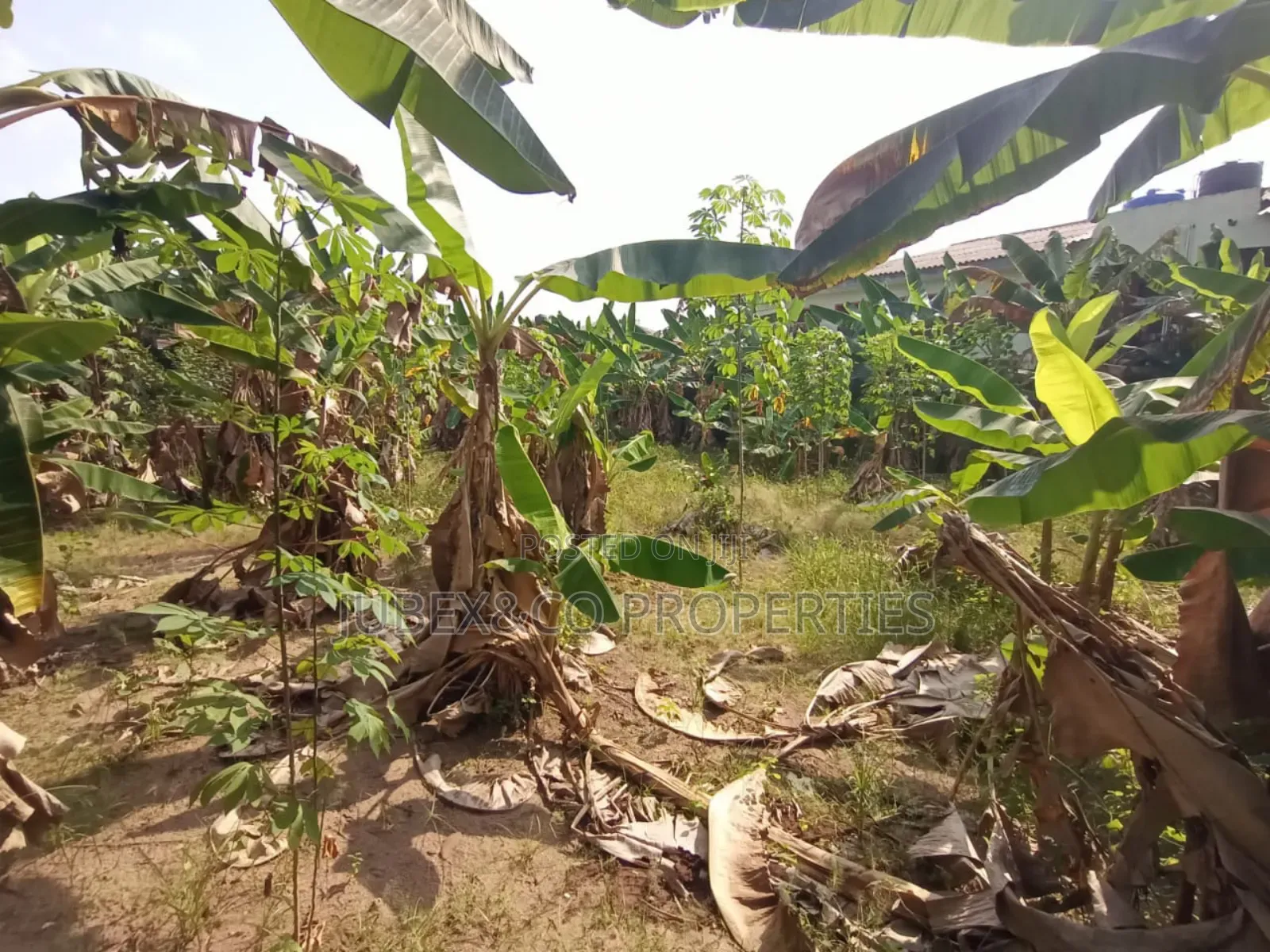Acres of Land at Obafemi Adegbokan Village in Obafemi-Owode