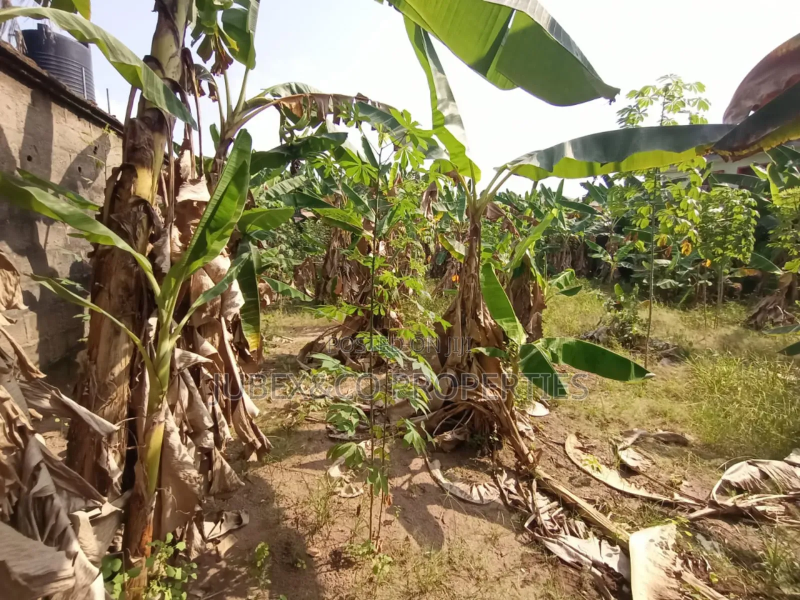 Acres of Land at Obafemi Adegbokan Village in Obafemi-Owode