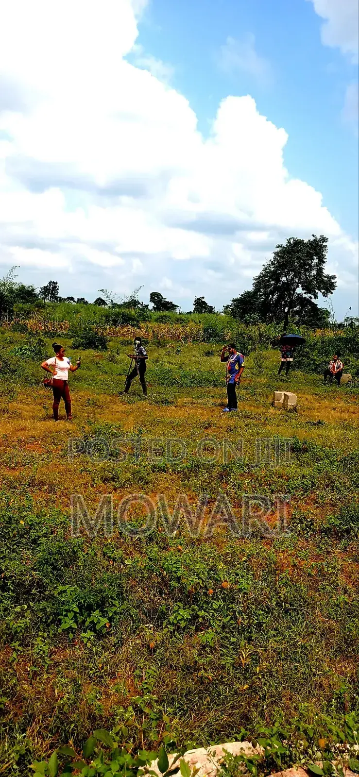You Don’T Miss Land. You Miss Timing. in Aniocha North