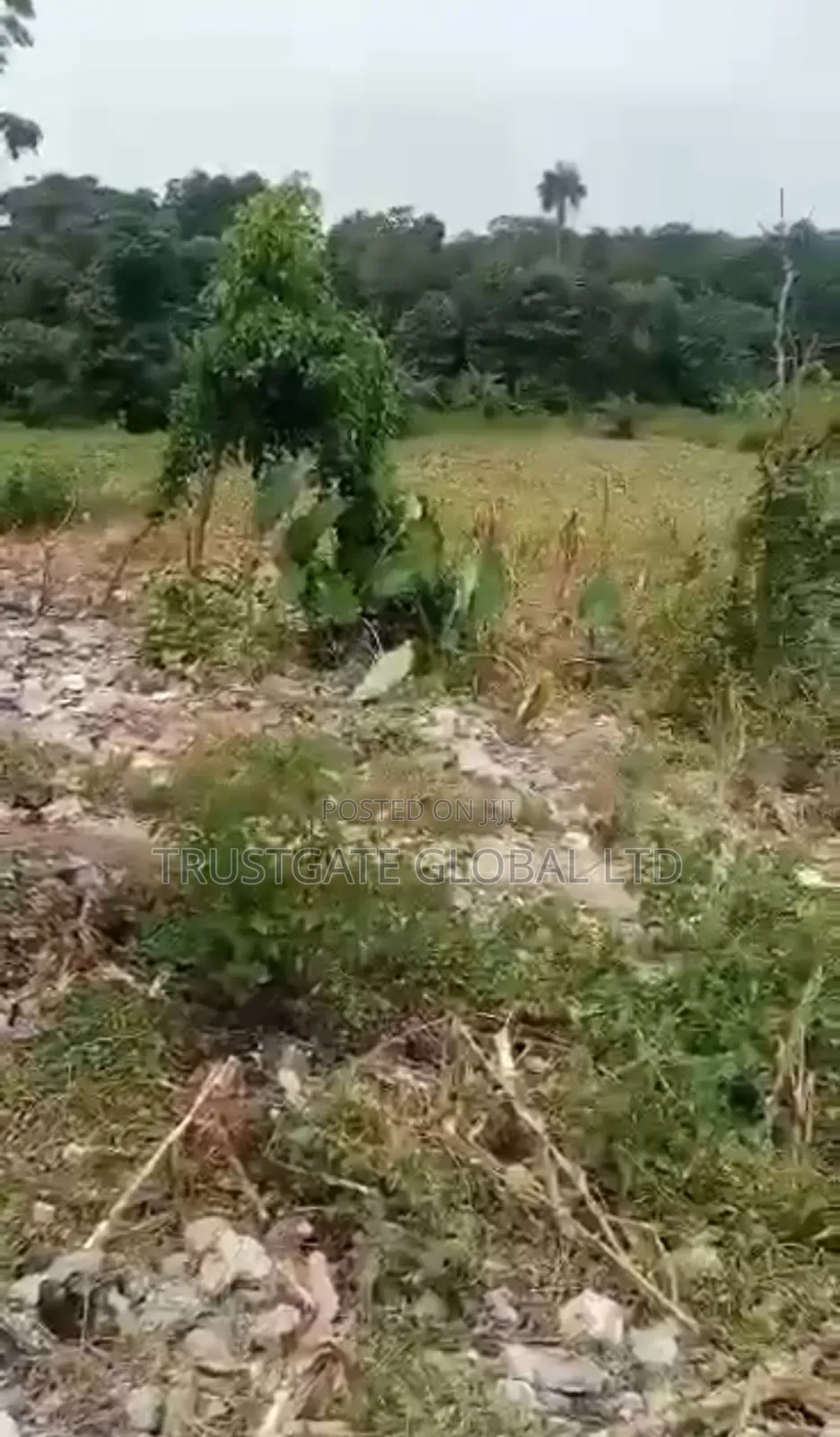 Commercial Land in Abuja for Sale in Gaduwa