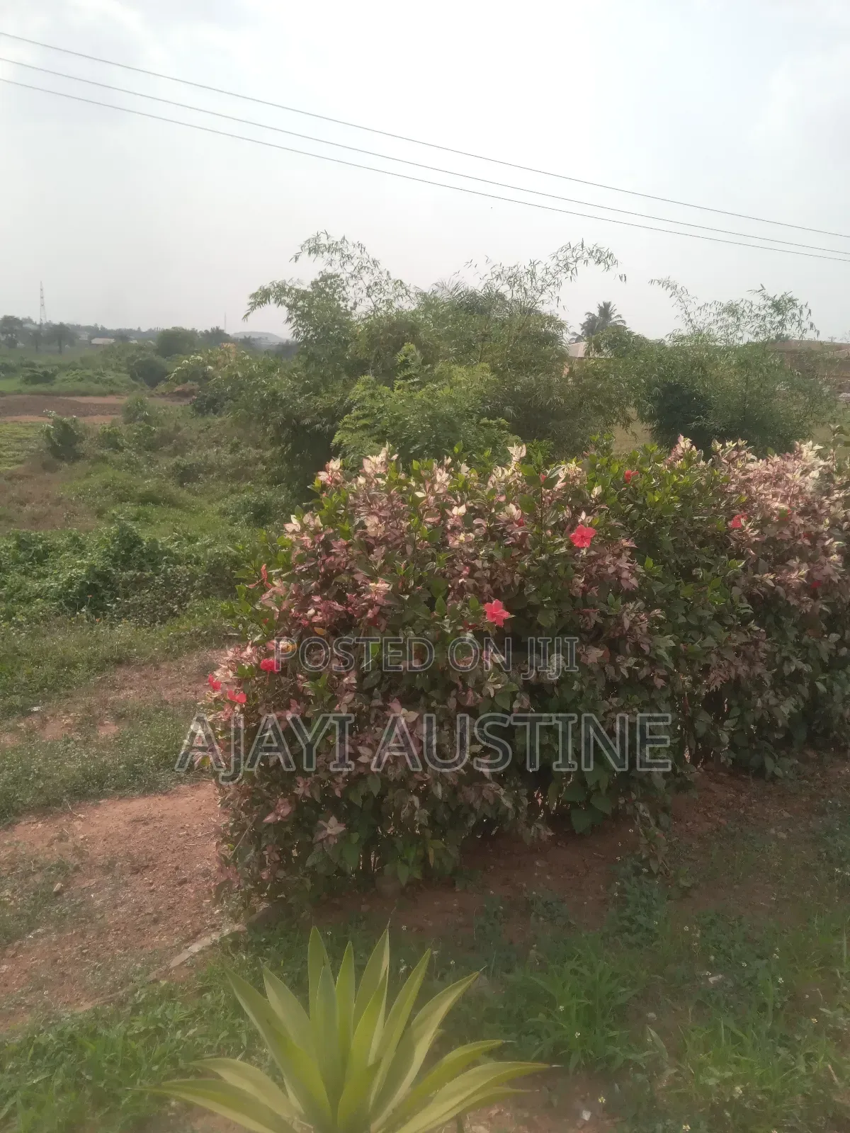 6 Plots of Land at Adesida Road in Akure