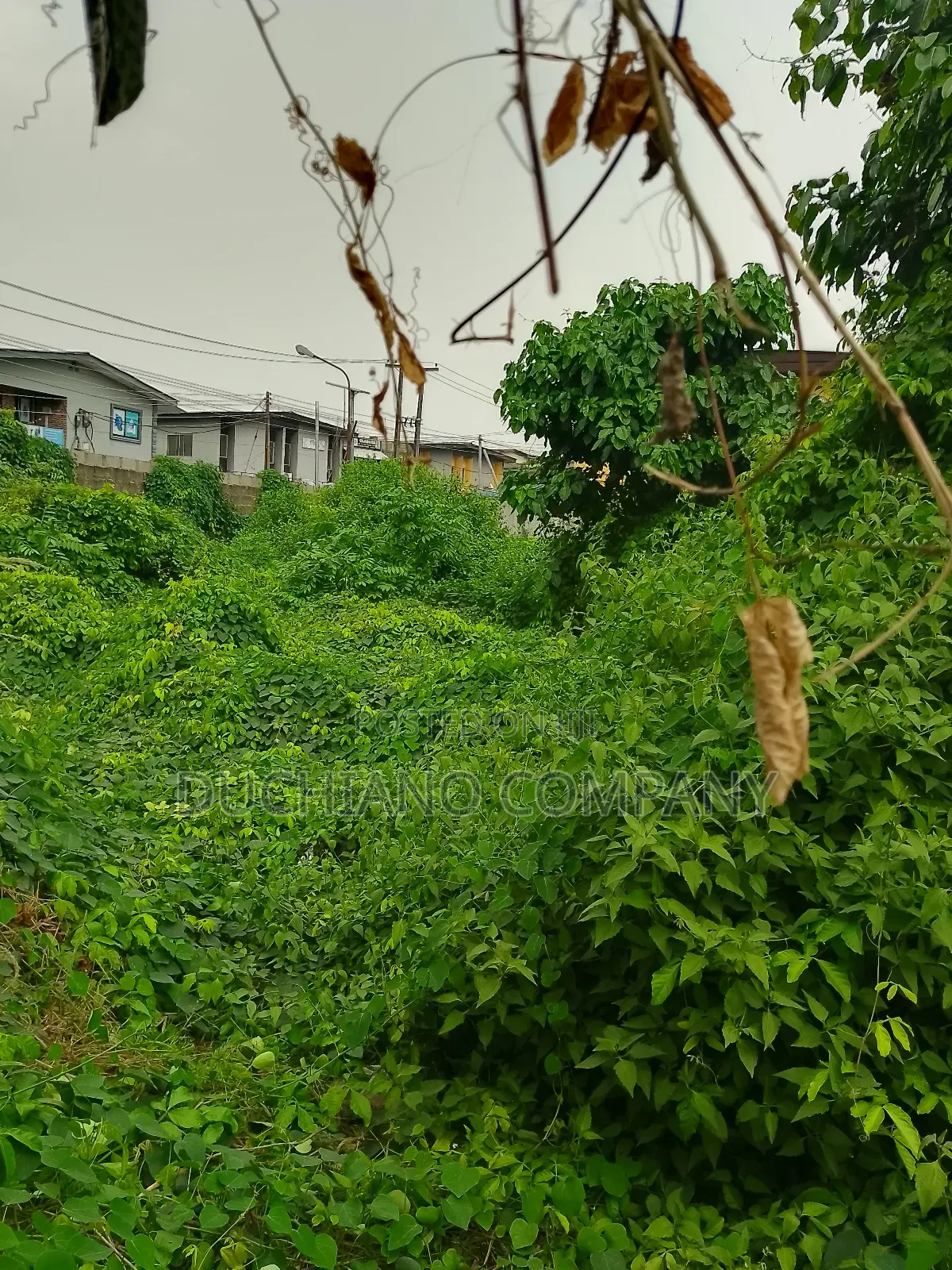 Harris Drive, Vgc: 15,000 SQM Land for Sale in VGC / Ajah