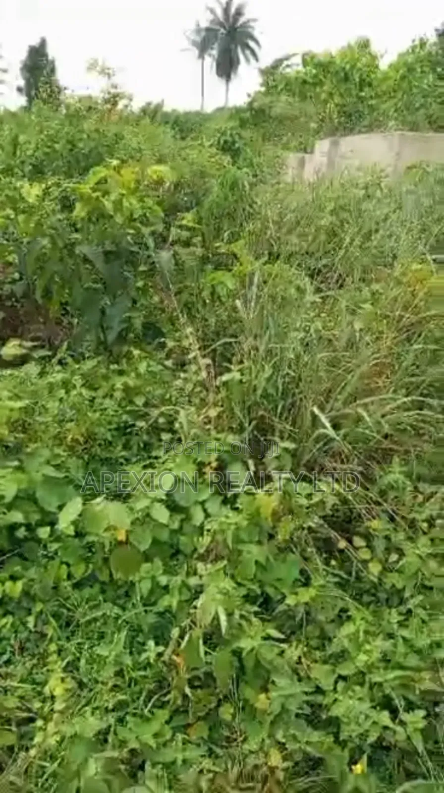 Land for Sale in Eneka