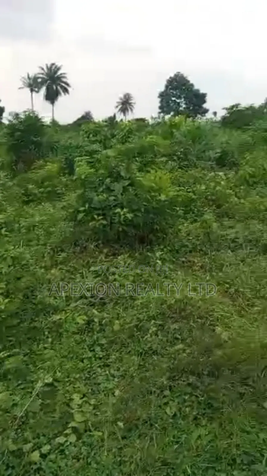 Land for Sale in Eneka