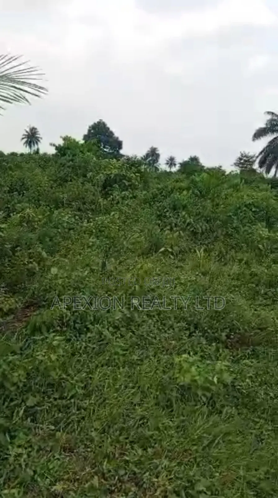 Land for Sale in Eneka